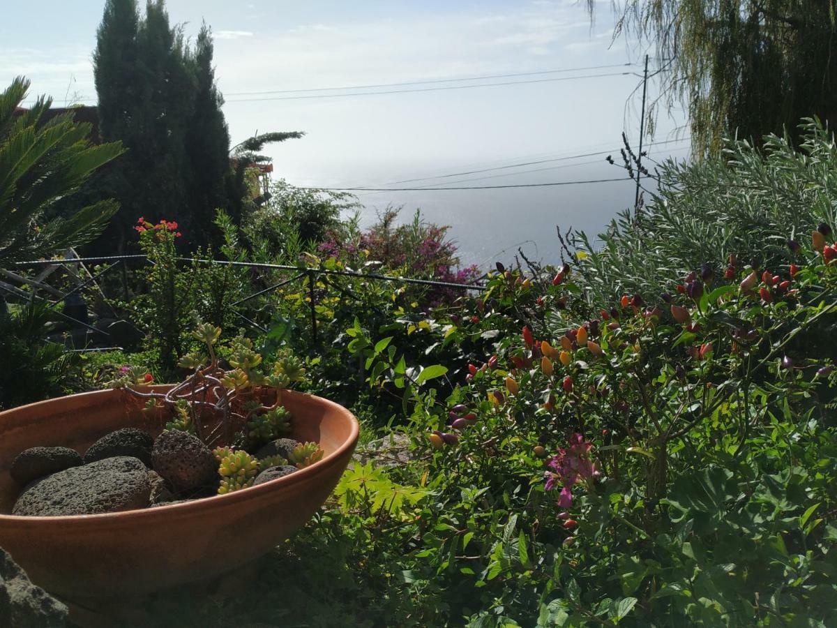 Magro'S House Arco da Calheta (Madeira) Exterior foto